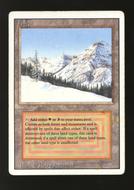 Image for Magic the Gathering 3rd Edition Revised Taiga MODERATELY PLAYED MP *243